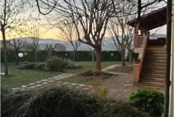 Rexer-Terni-Casale-Montenero-in-affittto-GIARDINO