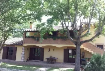 Rexer-Terni-Casale-Montenero-in-affittto-ALTRO