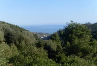 Rexer-Vieste-Vieste-stupendo-bilocale-ALTRO
