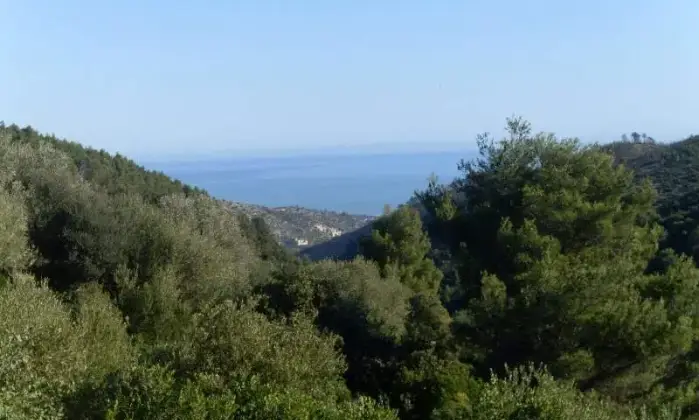 Rexer-Vieste-Vieste-stupendo-bilocale-ALTRO