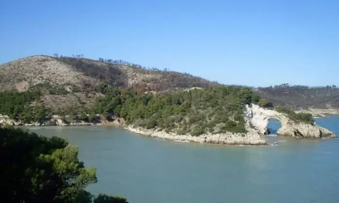 Rexer-Vieste-Vieste-stupendo-bilocale-ALTRO