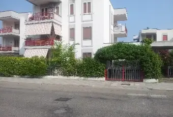 Rexer-Campomarino-Appartamentomq-con-giardino-mq-ALTRO