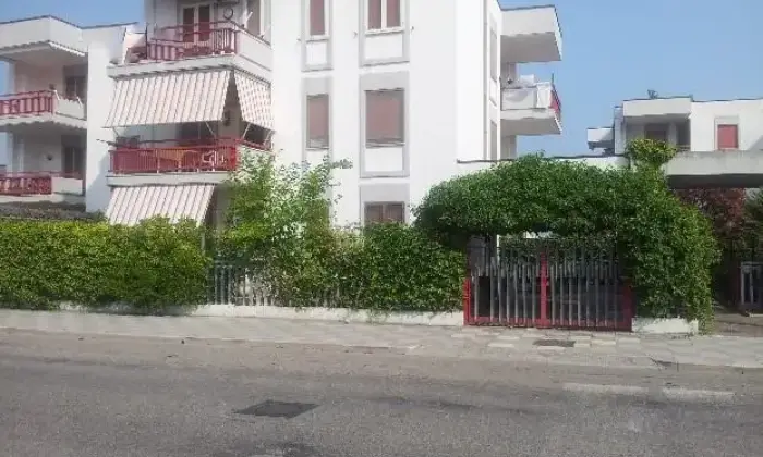 Rexer-Campomarino-Appartamentomq-con-giardino-mq-ALTRO