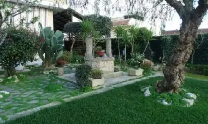 Rexer-Supersano-Villa-via-Carlo-Alberto-Supersano-GIARDINO