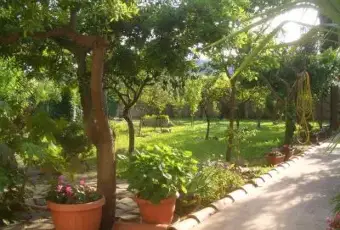 Rexer-Supersano-Villa-via-Carlo-Alberto-Supersano-GIARDINO