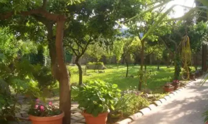 Rexer-Supersano-Villa-via-Carlo-Alberto-Supersano-GIARDINO