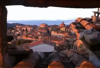 Rexer-Perugia-Centralissime-camere-singole-ALTRO