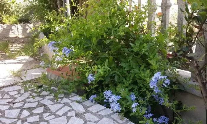 Rexer-Ardea-Grazioso-trilocale-sul-mare-GIARDINO