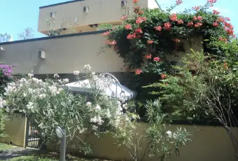 Rexer-Montignoso-Cinquale-mt-dal-mare-appartamento-in-residence-con-piscina-Altro