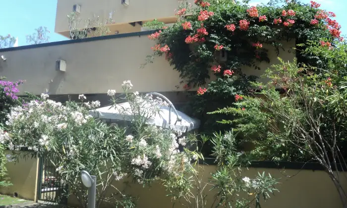 Rexer-Montignoso-Cinquale-mt-dal-mare-appartamento-in-residence-con-piscina-Altro