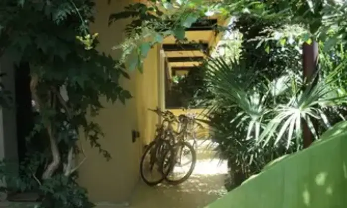 Rexer-Montignoso-Cinquale-mt-dal-mare-appartamento-in-residence-con-piscina-Giardino