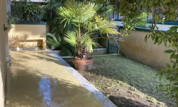 Rexer-Montignoso-Cinquale-mt-dal-mare-appartamento-in-residence-con-piscina-Terrazzo
