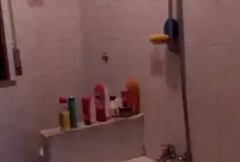 Rexer-Pisa-Trilocale-con-giardino-BAGNO