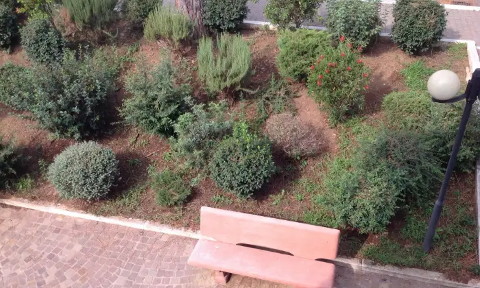 Rexer-Roma-Bellissimo-appartamento-con-terrzzo-panoramica-GIARDINO