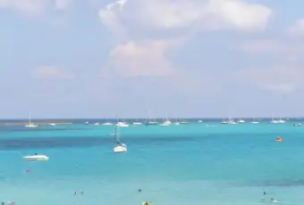 Rexer-Stintino-Appartamento-in-magnifico-scenario-con-terrazzo-con-vista-mare-ALTRO