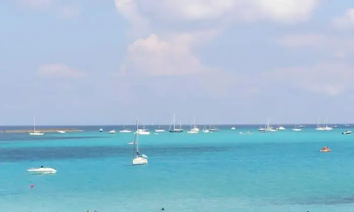 Rexer-Stintino-Appartamento-in-magnifico-scenario-con-terrazzo-con-vista-mare-ALTRO