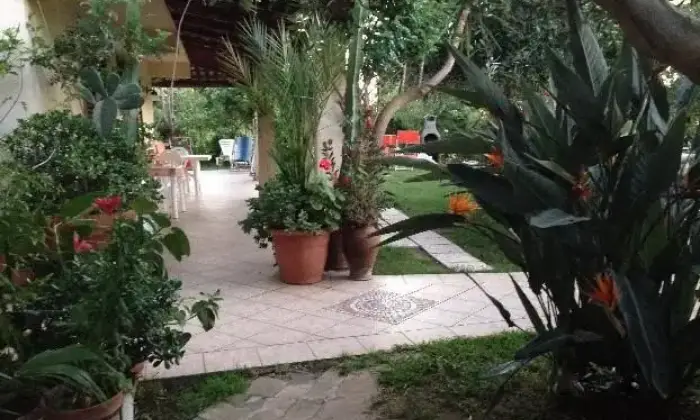 Rexer-Parghelia-Appartamenti-vacanze-in-residence-GIARDINO