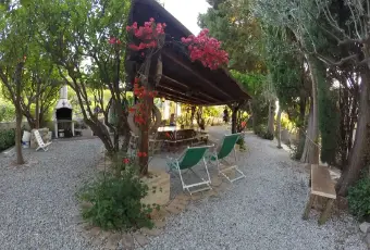Rexer-Parghelia-Appartamenti-vacanze-in-residence-GIARDINO