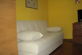 Rexer-Montesilvano-Luminoso-bilocale-arredato-SALONE