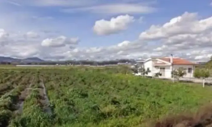 Rexer-Nova-Siri-Casa-indipendente-vicinissima-al-mare-e-immersa-nella-natura-ALTRO
