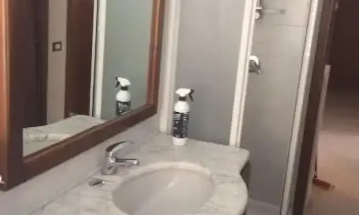 Rexer-Rozzano-Brevi-soggiorni-vicino-Humanitas-BAGNO