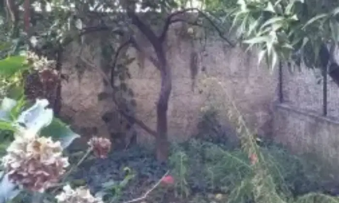 Rexer-Giugliano-in-Campania-Ampio-trilocale-arredato-GIARDINO