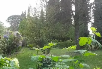 Rexer-Fiano-Romano-Casale-di-campagna-ALTRO
