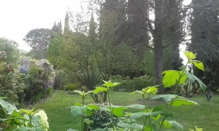 Rexer-Fiano-Romano-Casale-di-campagna-ALTRO