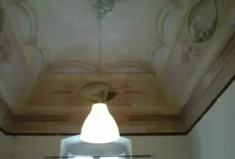Rexer-Bari-Camere-con-balcone-in-zona-strategica-ALTRO