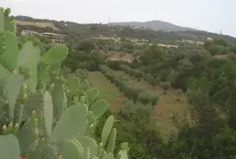Rexer-Cerchiara-di-Calabria-Affitto-di-casa-indipendente-in-Palazzo-Piana-Cerchiara-di-Calabria-GIARDINO