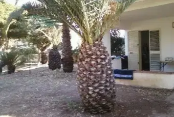 Rexer-Ispica-Ampio-e-grazioso-appartamento-sul-mare-GIARDINO