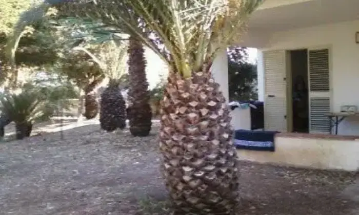 Rexer-Ispica-Ampio-e-grazioso-appartamento-sul-mare-GIARDINO