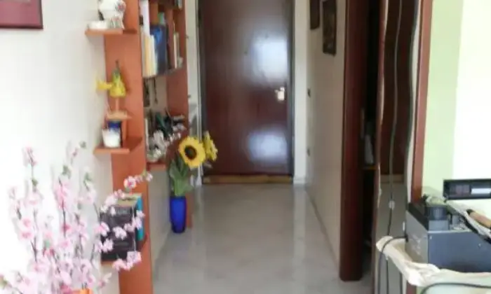 Rexer-Quarto-Trilocale-panoramico-totalmente-arredato-ALTRO