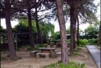 Rexer-Tortoreto-Ampio-appartamento-in-villa-storica-GIARDINO