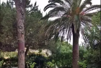 Rexer-Tortoreto-Ampio-appartamento-in-villa-storica-GIARDINO