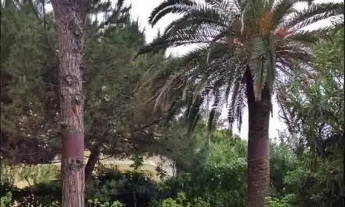 Rexer-Tortoreto-Ampio-appartamento-in-villa-storica-GIARDINO