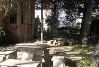 Rexer-Tortoreto-Ampio-appartamento-in-villa-storica-GIARDINO