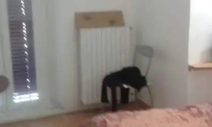 Rexer-Saronno-Stanza-singola-per-ragazze-a-Saronno-CAMERA-DA-LETTO
