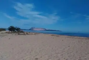 Rexer-San-Teodoro-Trilocali-vicino-al-mare-ALTRO