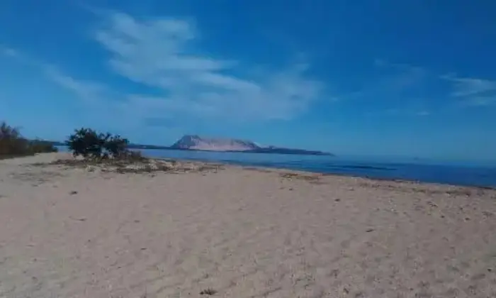 Rexer-San-Teodoro-Trilocali-vicino-al-mare-ALTRO