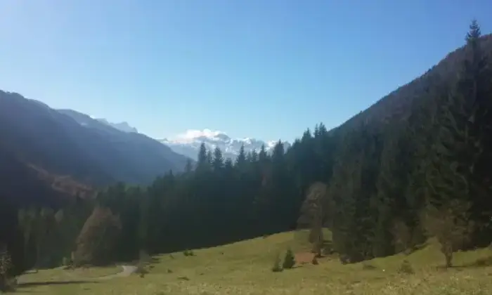 Rexer-Schilpario-Incantevole-mansarda-in-frazione-Barzesto-ALTRO