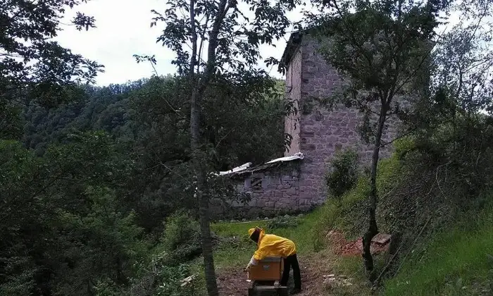 Rexer-Valle-Castellana-Antica-casa-in-pietra-nel-bosco-immersa-nei-Monti-dAbruzzo-ALTRO