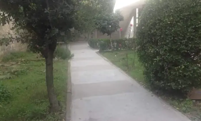 Rexer-Brusciano-Ampio-ed-elegante-quadrilocale-GIARDINO