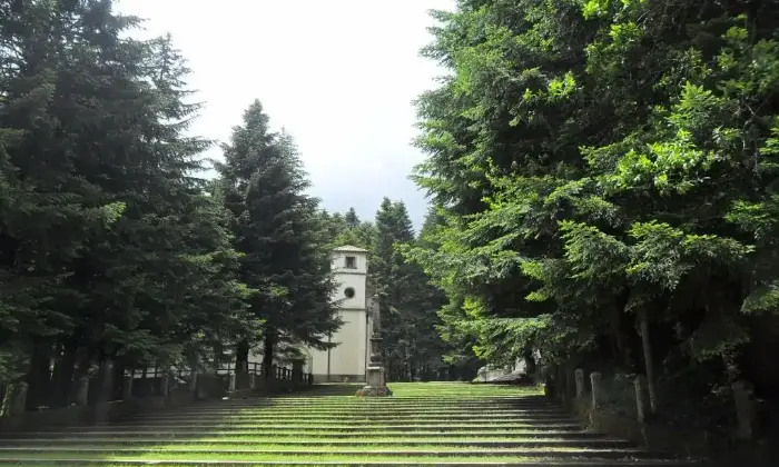 Rexer-Serra-San-Bruno-Casa-vacanze-ALTRO