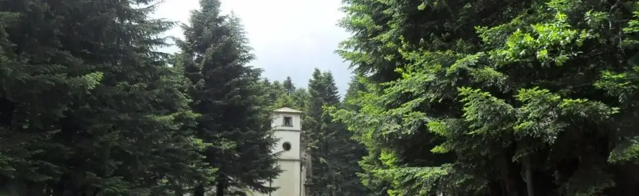 Rexer-Serra-San-Bruno-Casa-vacanze-ALTRO