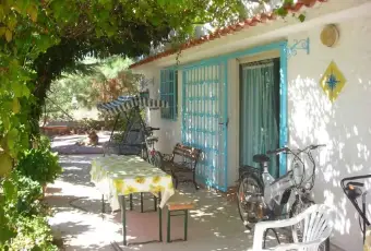 Rexer-Siniscola-Sardegna-nordest-per-due-ALTRO