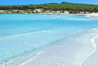 Rexer-Budoni-VILLETTA-A-SCHIERA-BUDONI-ALTRO