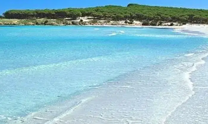 Rexer-Budoni-VILLETTA-A-SCHIERA-BUDONI-ALTRO