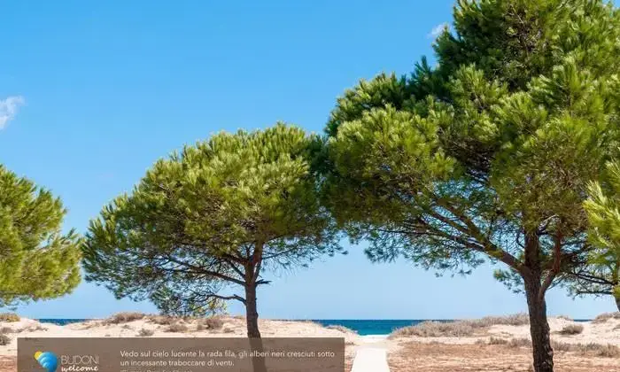 Rexer-Budoni-VILLETTA-A-SCHIERA-BUDONI-ALTRO