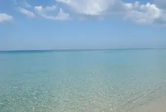 Rexer-Manduria-BELLA-VILLETTA-IN-SALENTO-ALTRO